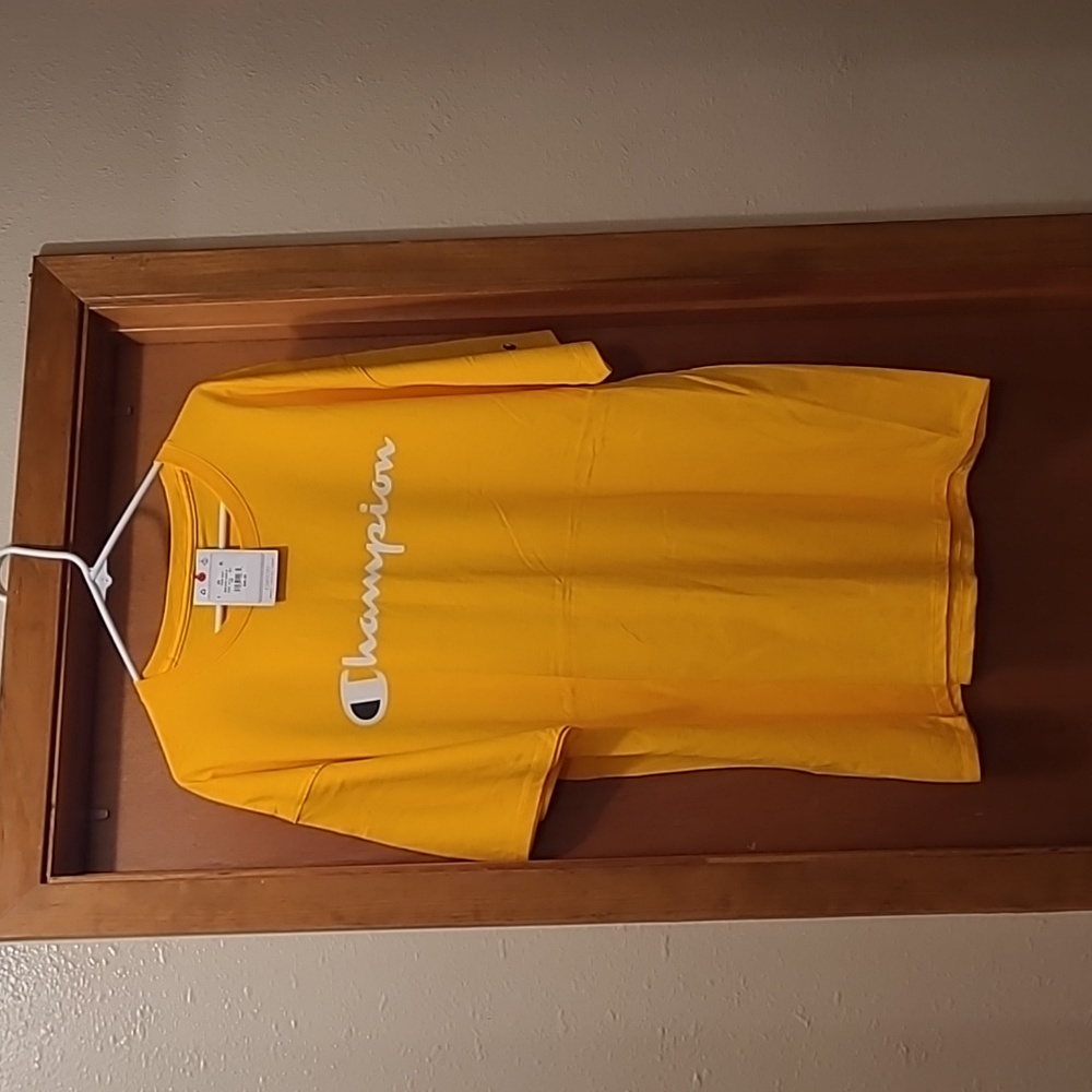 Men's Champion t shirt